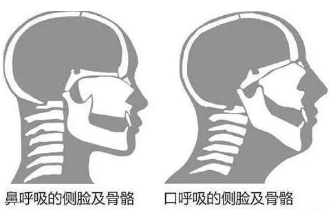 &#20061;&#28216;&#32593;&#39029;&#29256;&#45;&#20061;&#28216;&#65288;&#20013;&#22269;&#65289;