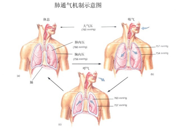 &#20061;&#28216;&#32593;&#39029;&#29256;&#45;&#20061;&#28216;&#65288;&#20013;&#22269;&#65289;