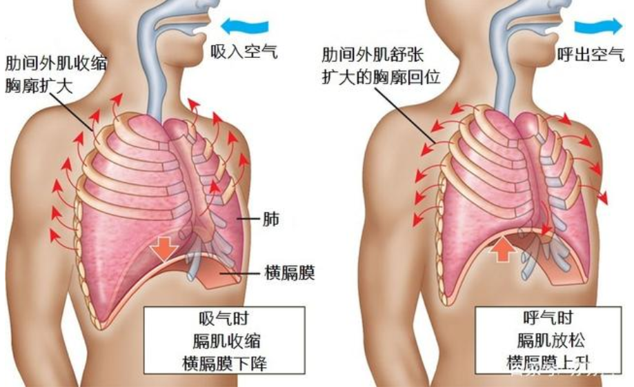 &#20061;&#28216;&#32593;&#39029;&#29256;&#45;&#20061;&#28216;&#65288;&#20013;&#22269;&#65289;