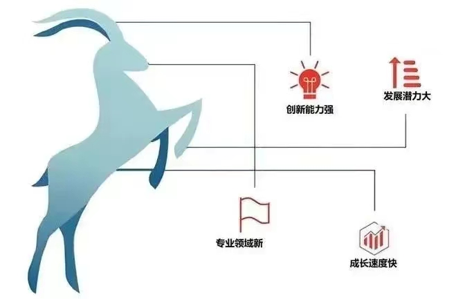 &#20061;&#28216;&#32593;&#39029;&#29256;&#45;&#20061;&#28216;&#65288;&#20013;&#22269;&#65289;