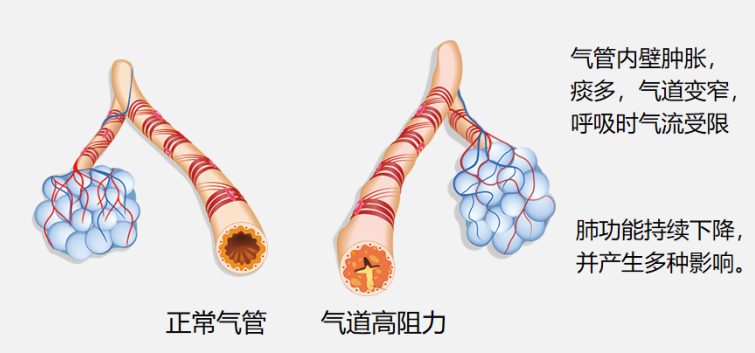 &#20061;&#28216;&#32593;&#39029;&#29256;&#45;&#20061;&#28216;&#65288;&#20013;&#22269;&#65289;