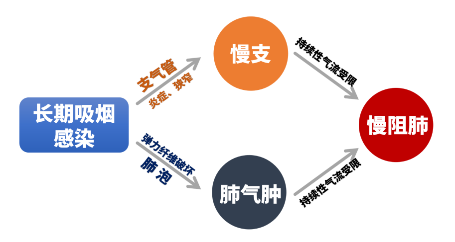 &#20061;&#28216;&#32593;&#39029;&#29256;&#45;&#20061;&#28216;&#65288;&#20013;&#22269;&#65289;