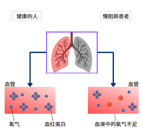 &#20061;&#28216;&#32593;&#39029;&#29256;&#45;&#20061;&#28216;&#65288;&#20013;&#22269;&#65289;